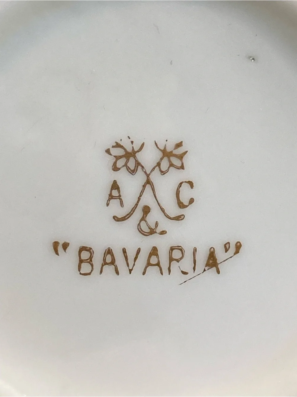 Bavaria A.C. Grape Motif Vase 8.5” Tall A Koch Signed - Picture 10 of 14